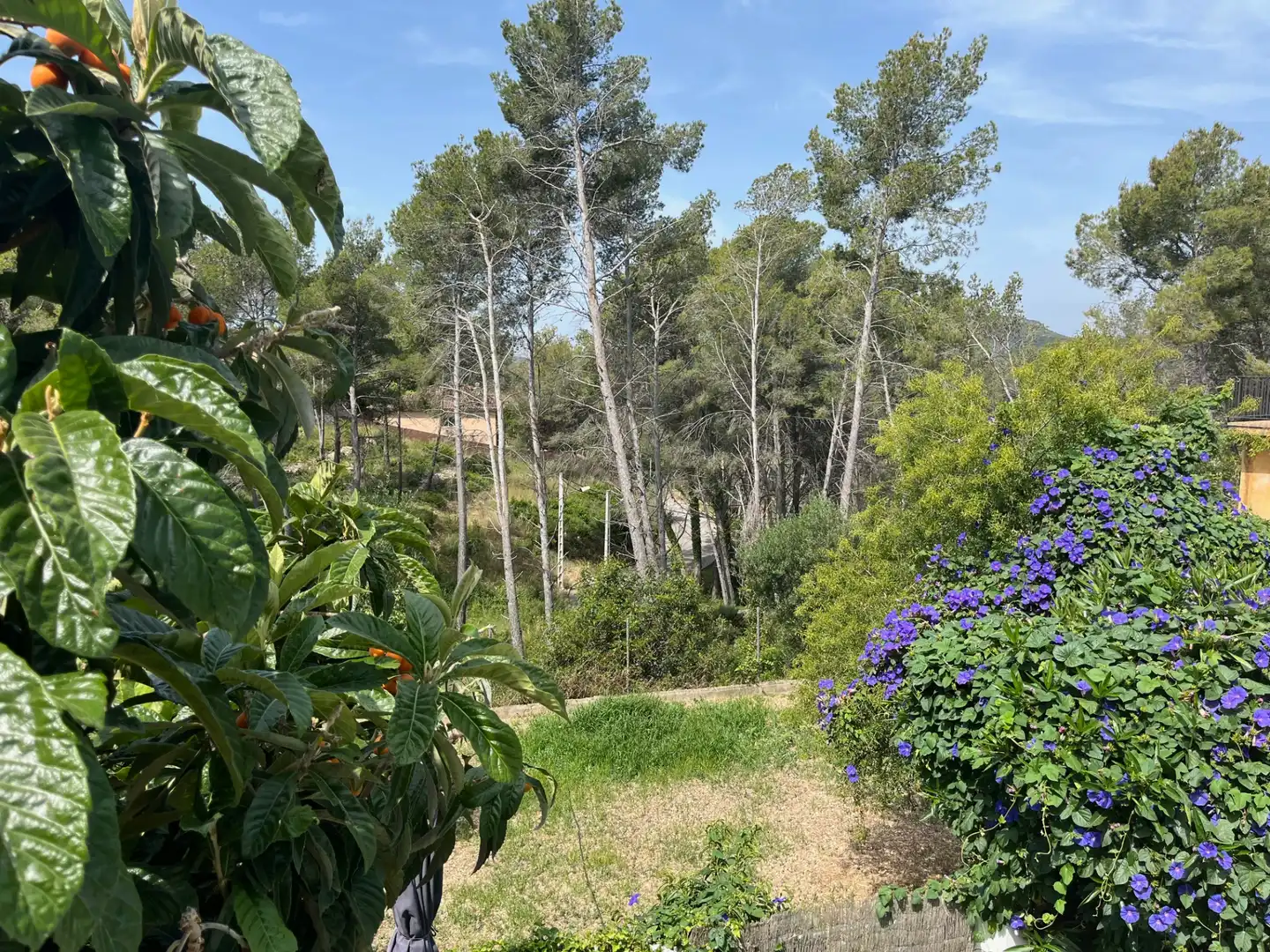 Casa o xalet en venda a Carrer de la Xixella, 1, Olivella