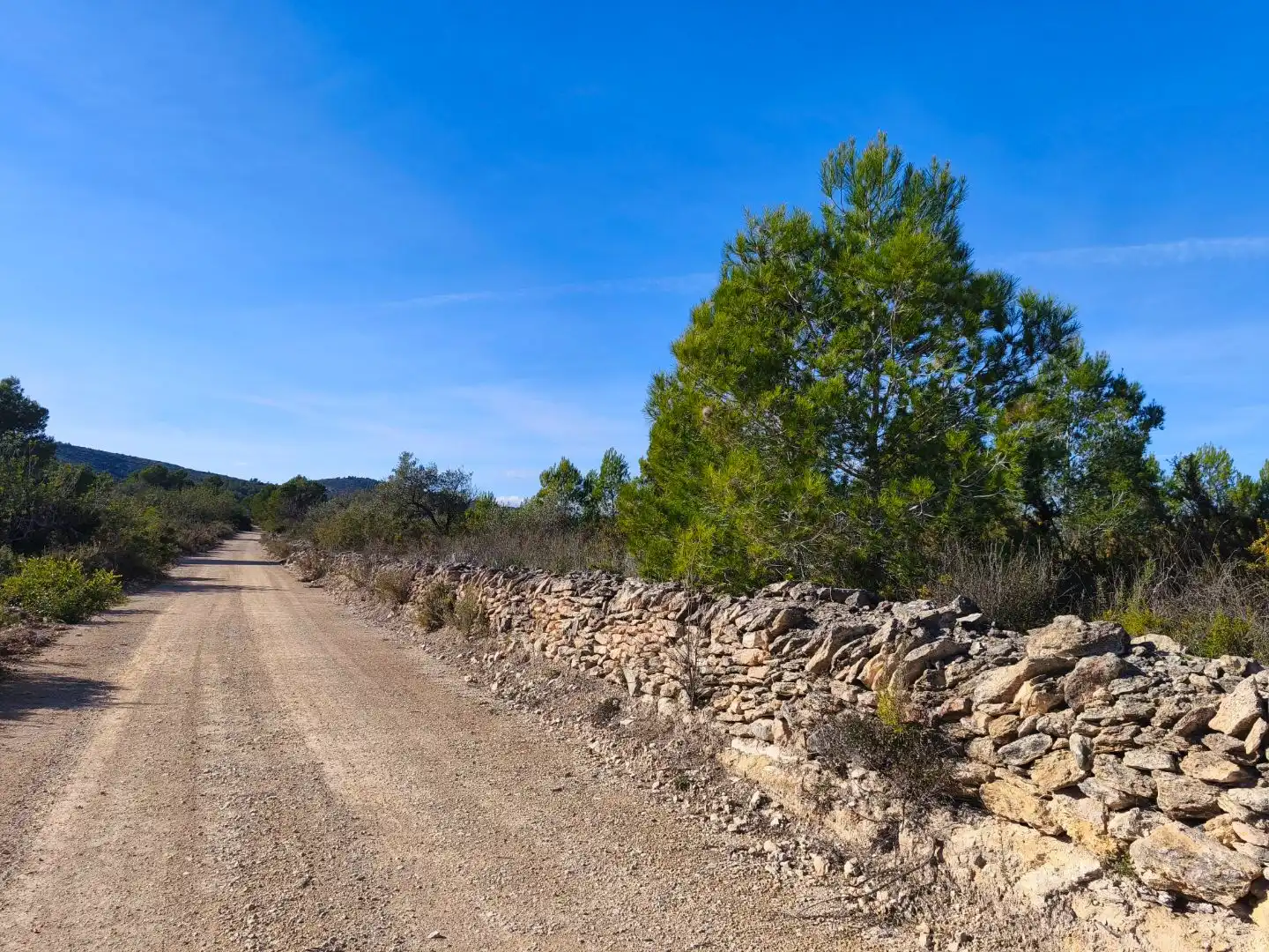 Rural land for sale in Carrer Fray Salvador 50, imagen 10