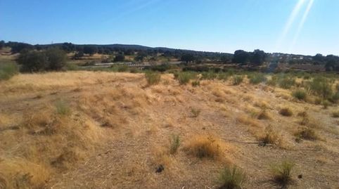 Parcela rustica en el distrito de Valsequillo con ruinas a pie de carretera con una superficie de 2, 5 Hectáreas, 25. 000m2 tiene , Bild 3