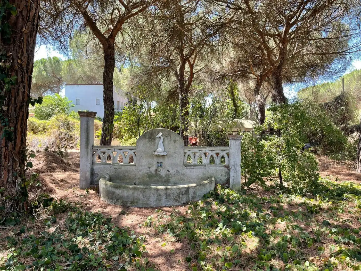 Jardí de Casa o xalet en venda en Valladolid
