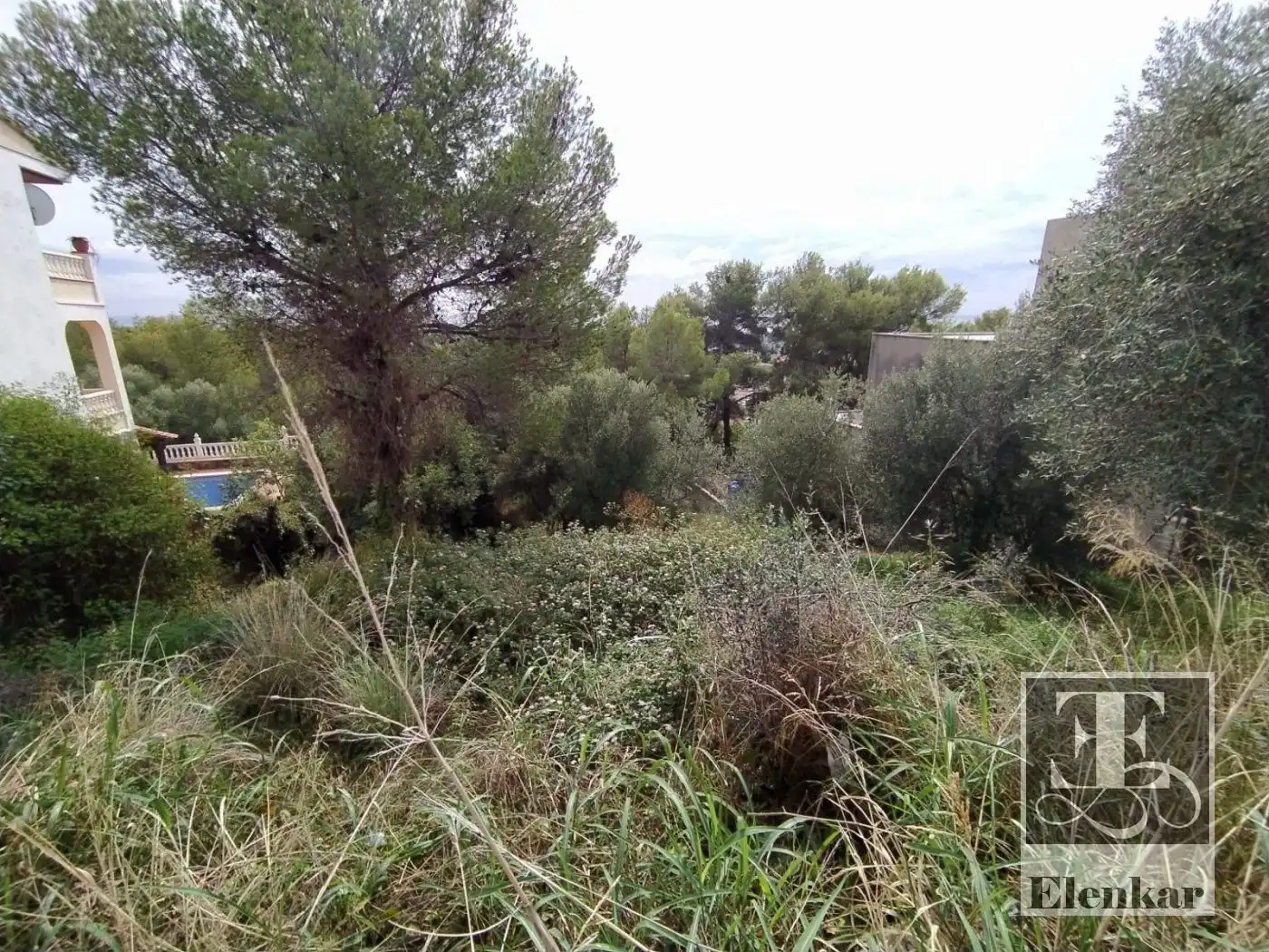 Terreno rustico in vendita a ANTILLES, imagen 5