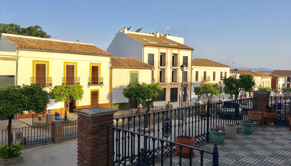 Foto 1 de Casa o xalet en venda a Ancha, Fuente de Piedra, Málaga