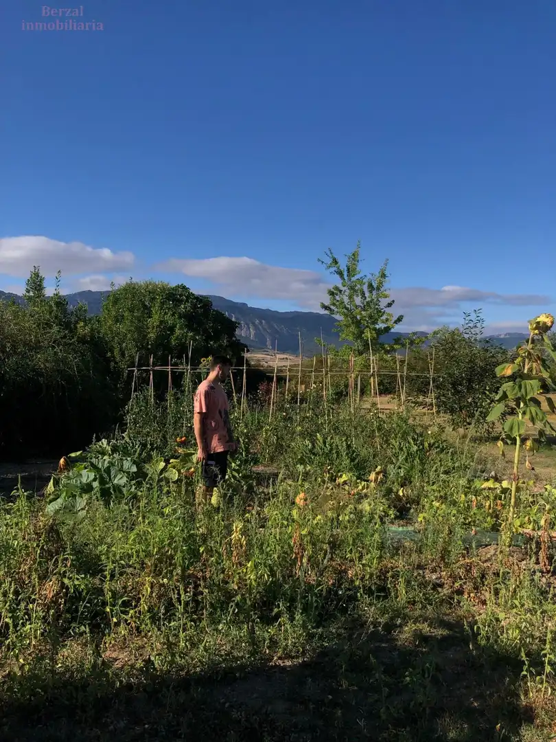 Jardín de Terreno en venta en Laguardia