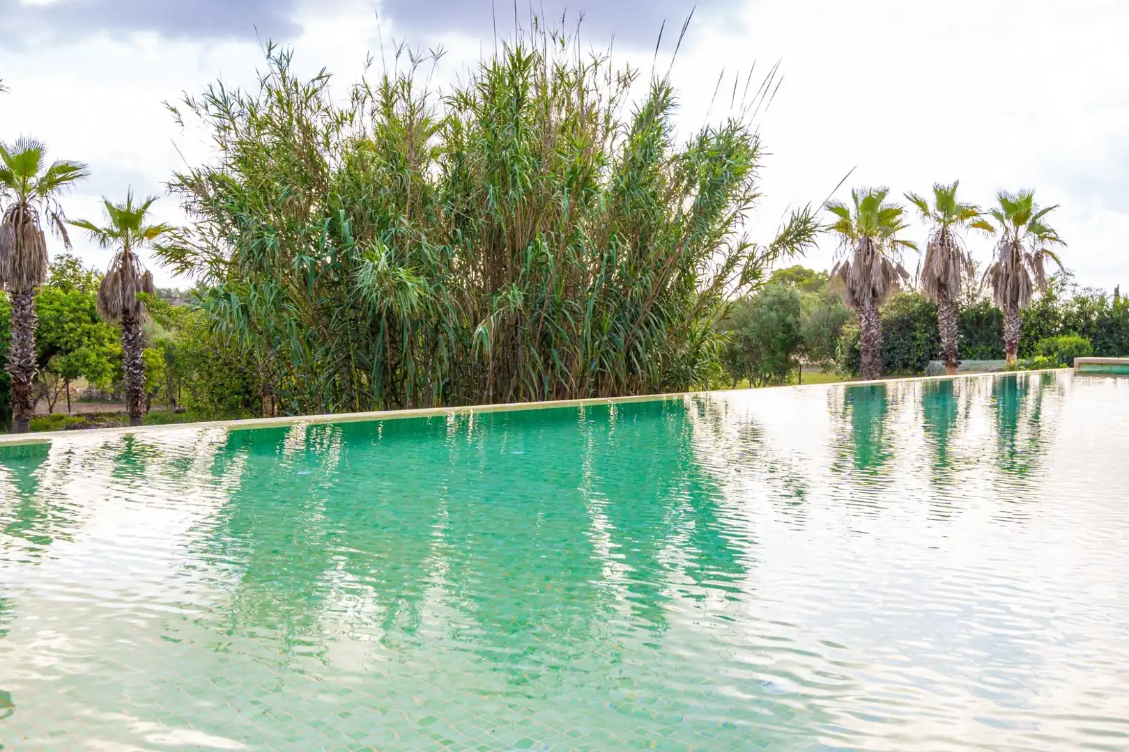 Swimming pool of Country homes for sale in Manacor  with Air Conditioner, Heating and Private garden