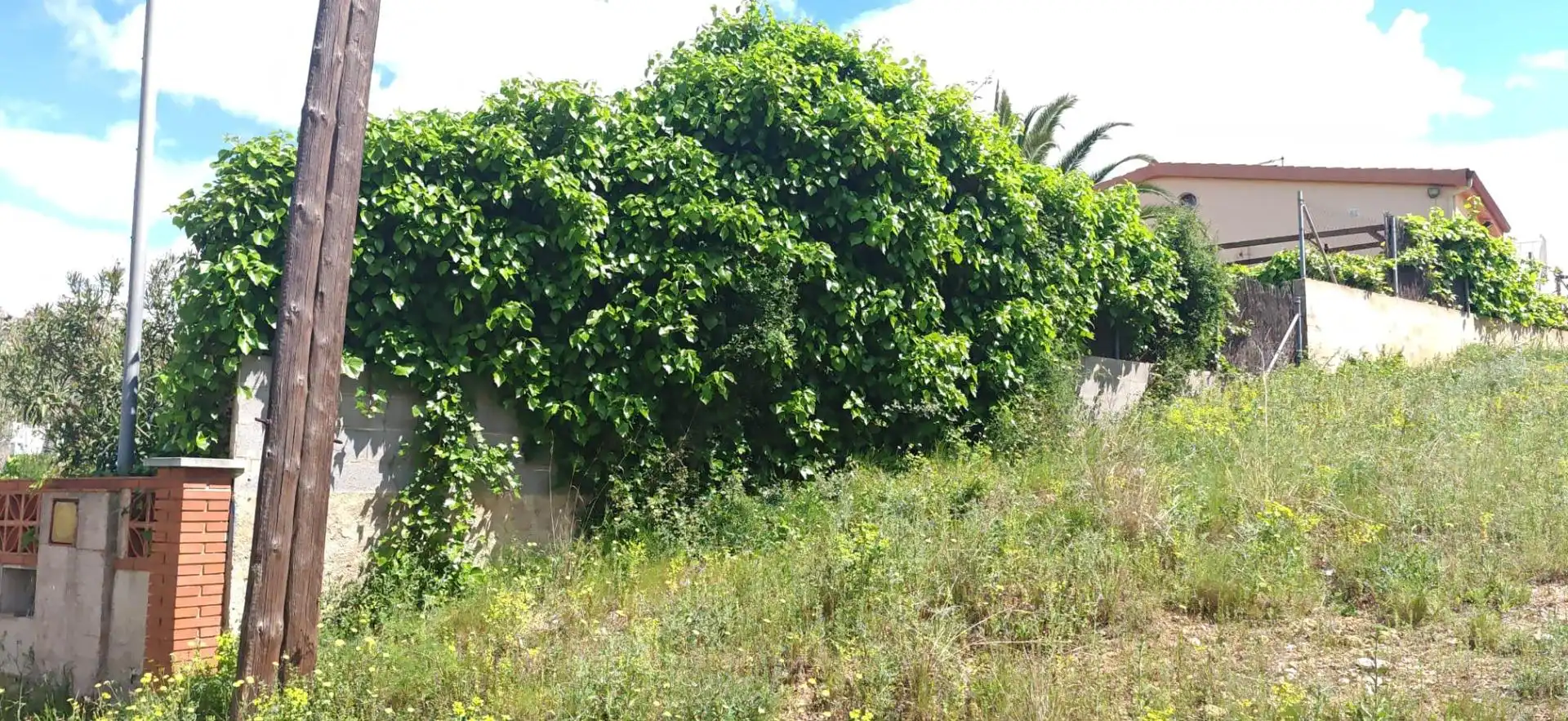 Houses for sale in La Bisbal del Penedès