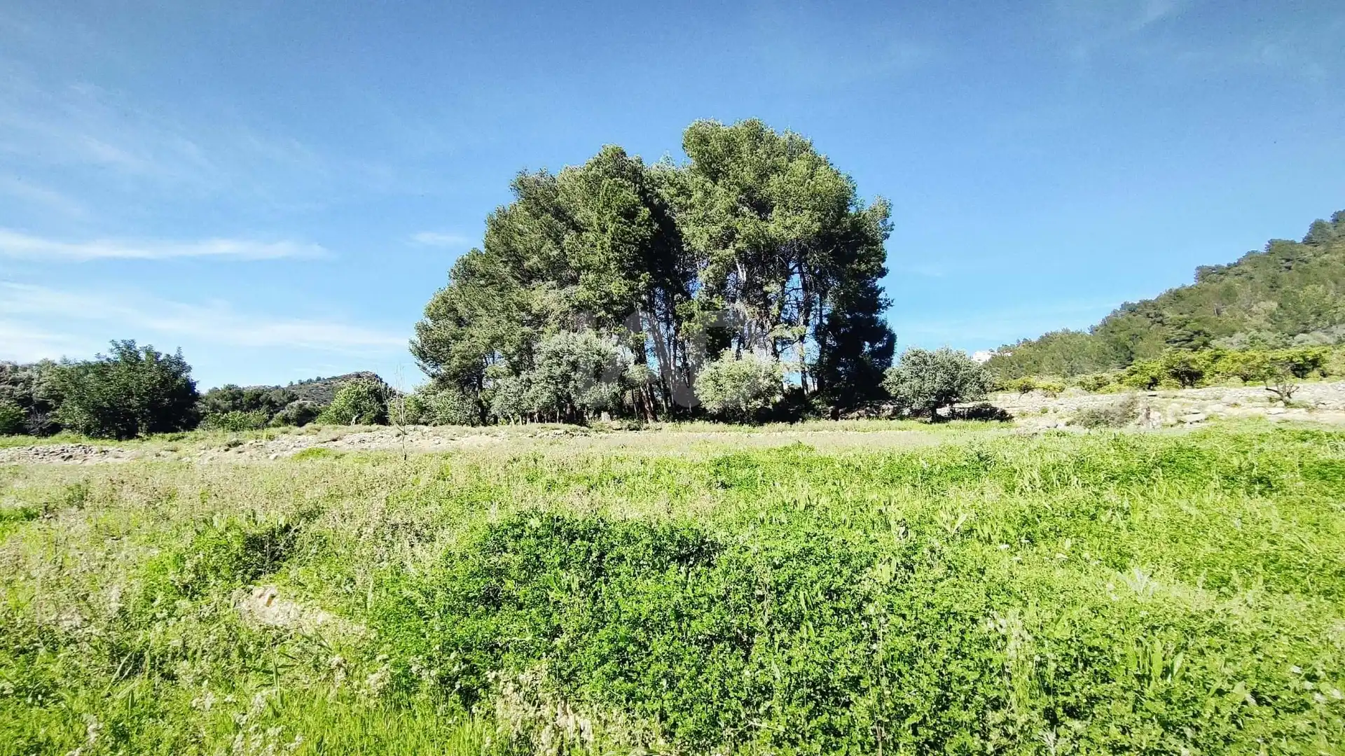 Residential for sale in Murla