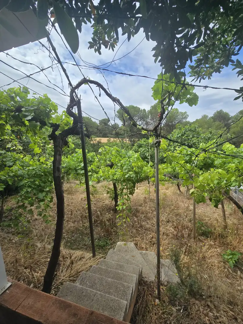 Land for sale in Vacarisses