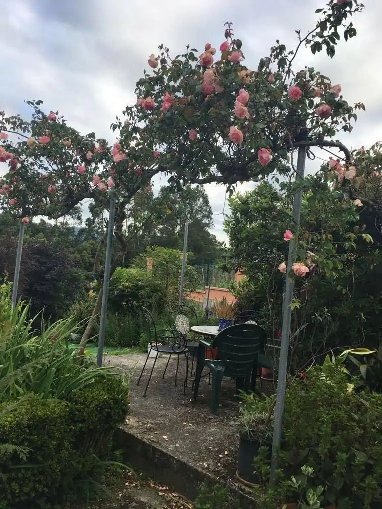 Garden of Houses for sale in Navia  with Private garden and Storage room