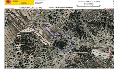 PARCELA POLÍNGO 29 PARCELA 91 RINCON SECANET MONÓVAR