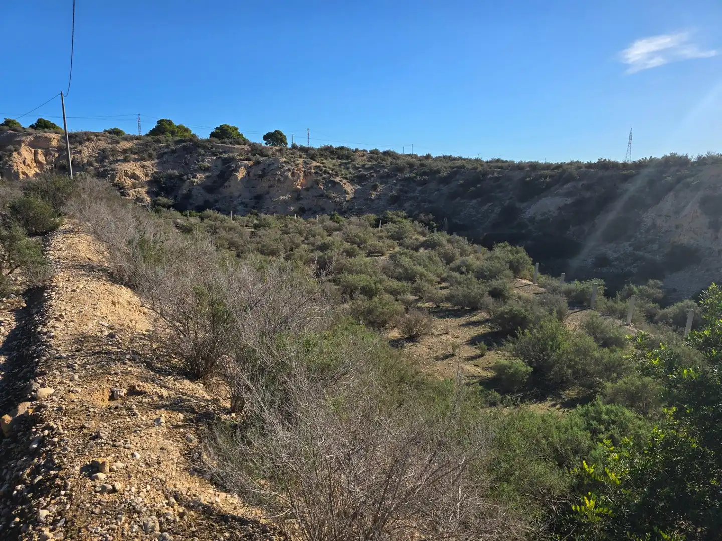 Industrial land for sale in Crevillent, imagen 8