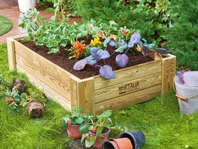 Garten von Residential zur Miete in El Rocío - La Milagrosa