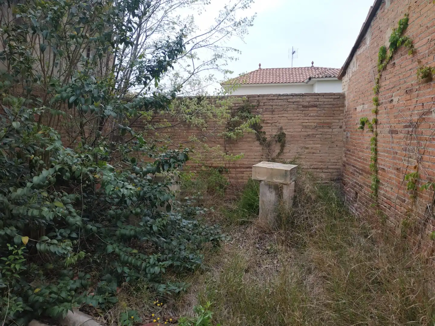 Wohnbaugrundstück zum Verkauf in Carrer Amadeu Vives, imagen 3