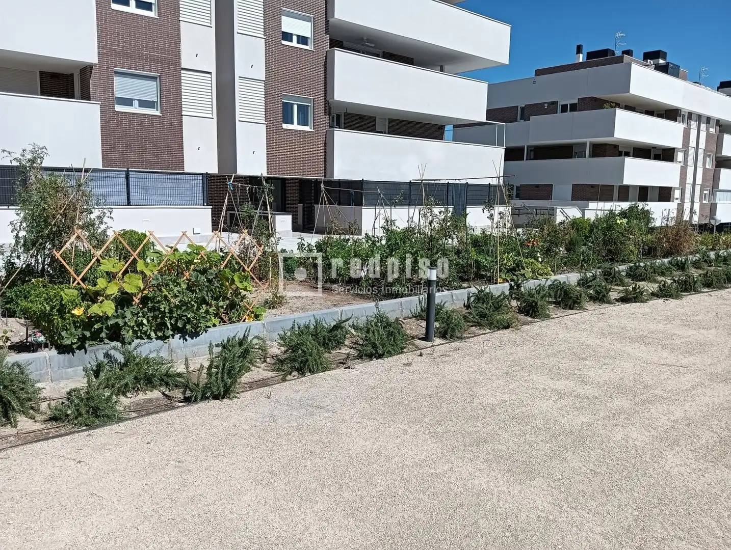 Terrassa de Estudi en venda en Colmenar Viejo amb Jardí privat, Terrassa i Piscina