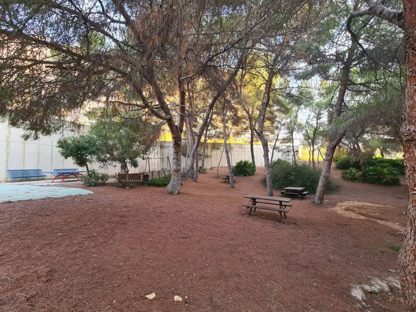 Apartment mit Pool zum Verkauf in Calle SAMANIEGO, imagen 36
