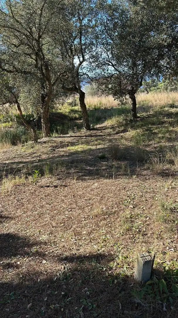 Terreno residencial en venta en la Clariana, imagen 2