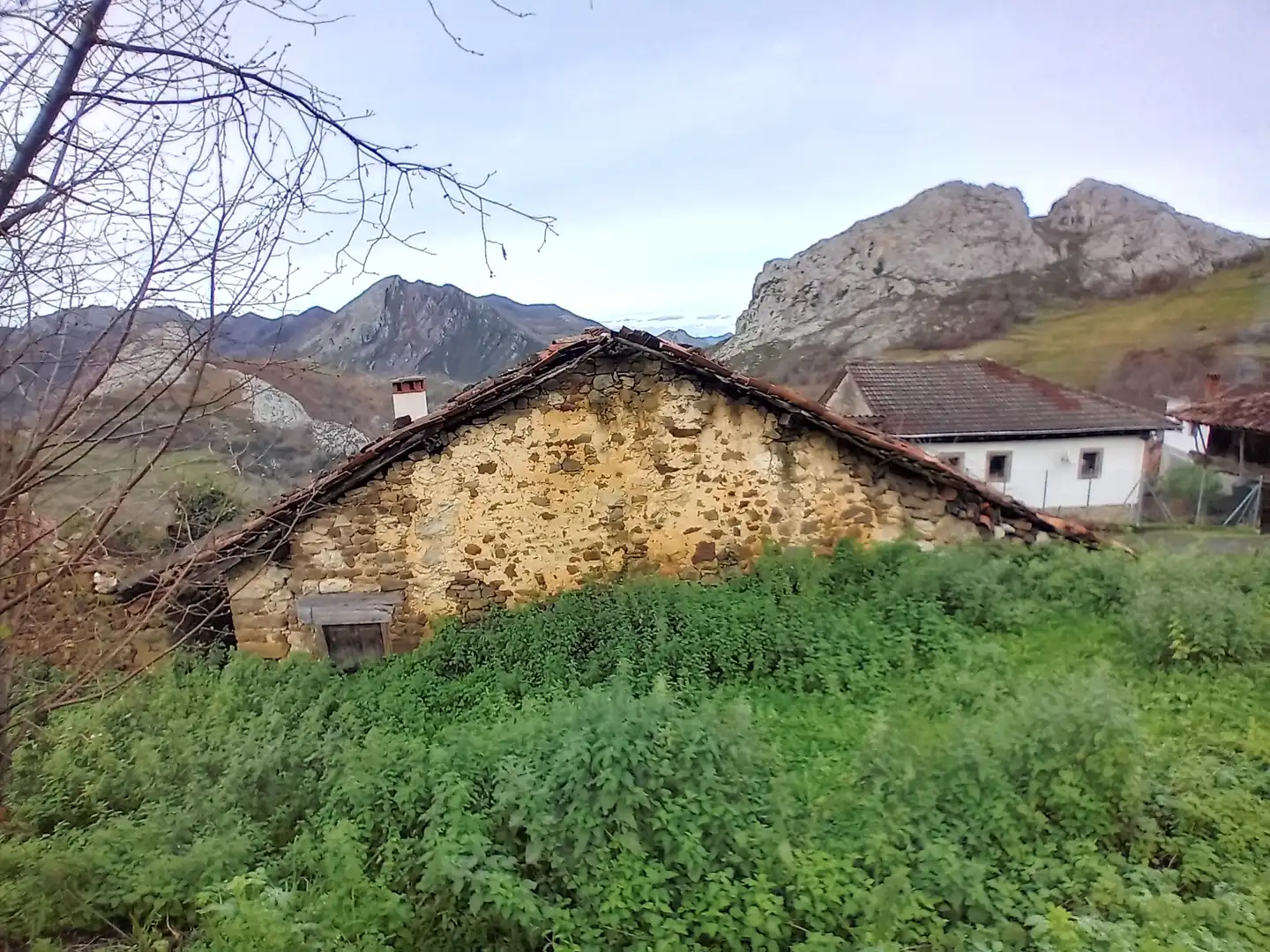 Vista exterior de Finca rústica en venta en Amieva