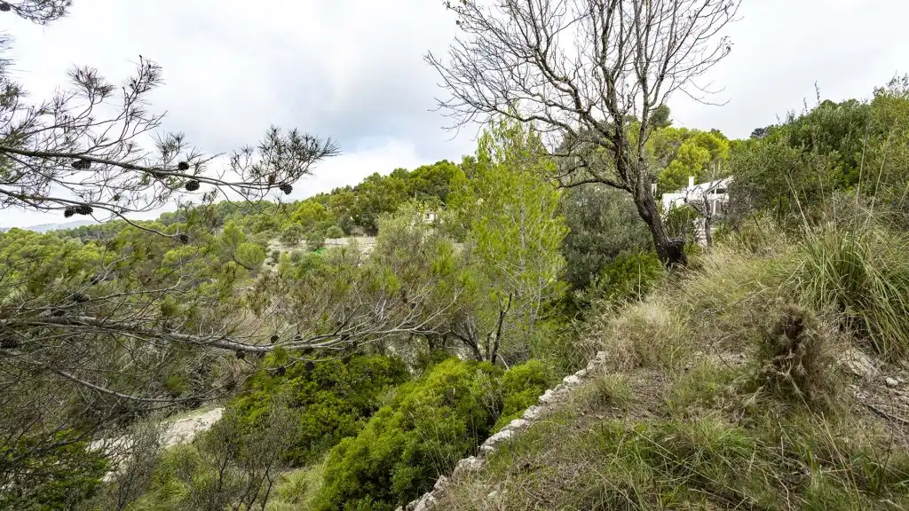Rural land for sale in Puigpunyent, imagen 4