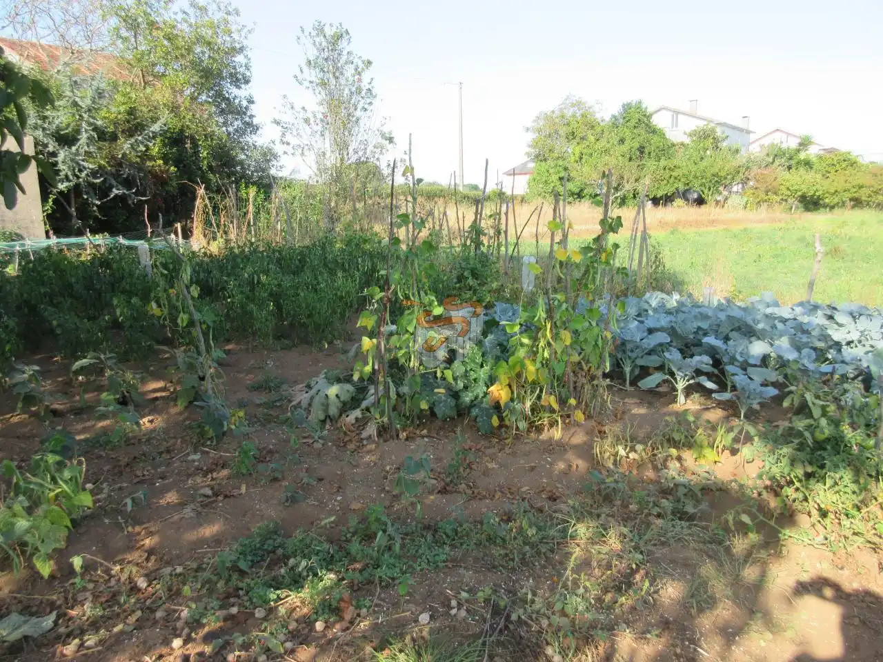 Casa rústica amb jardí en venda a A Malata - Catabois - Ciudad Jardín, imagen 20