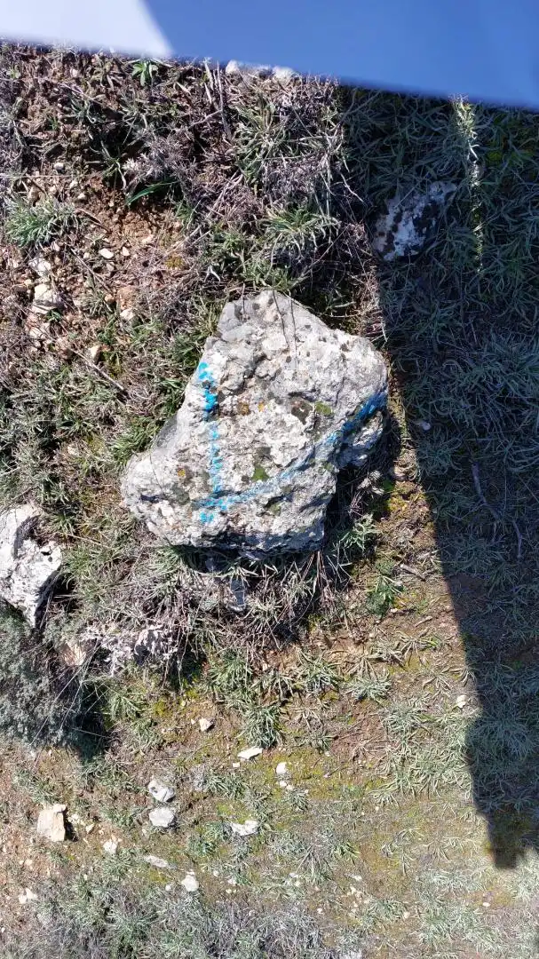 Grundstücke zur Miete in Loranca de Tajuña
