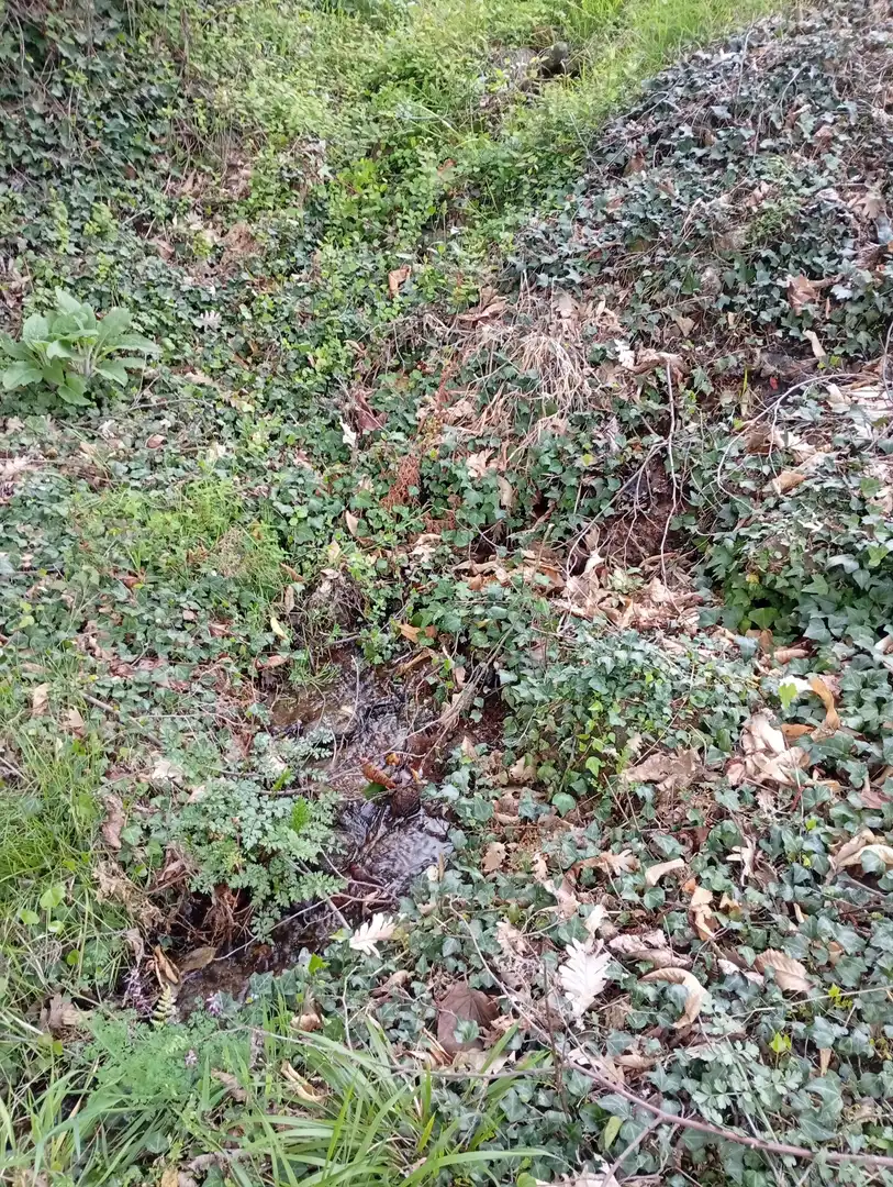 Terreni e lotti in vendita a Valverde de la Vera, imagen 97