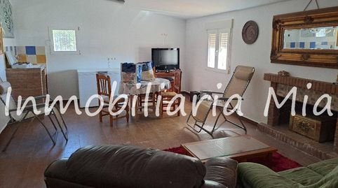 GRAN OPORTUNIDAD Finca de Lujo con 3 Casas  Producción de Pistachos a 20 min del Mar, immagine 3