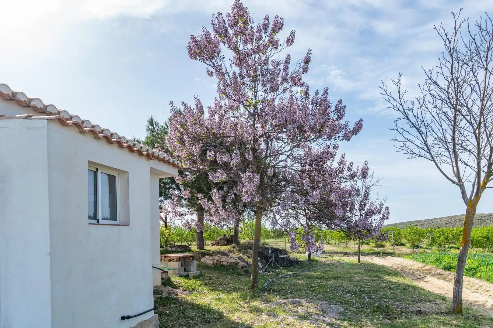 Terreni e lotti in vendita a Padul, imagen 33