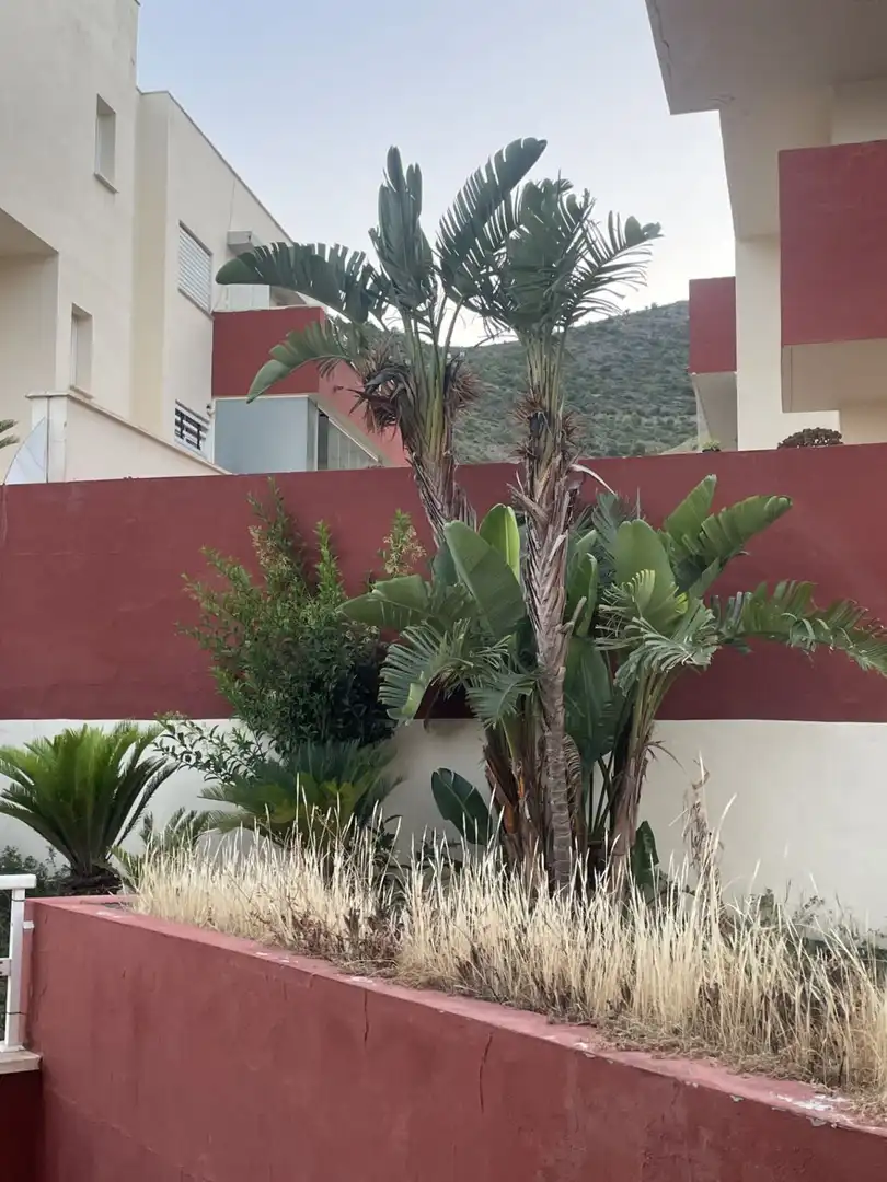 Vista exterior de Pis en venda en Benalmádena amb Terrassa i Piscina comunitària