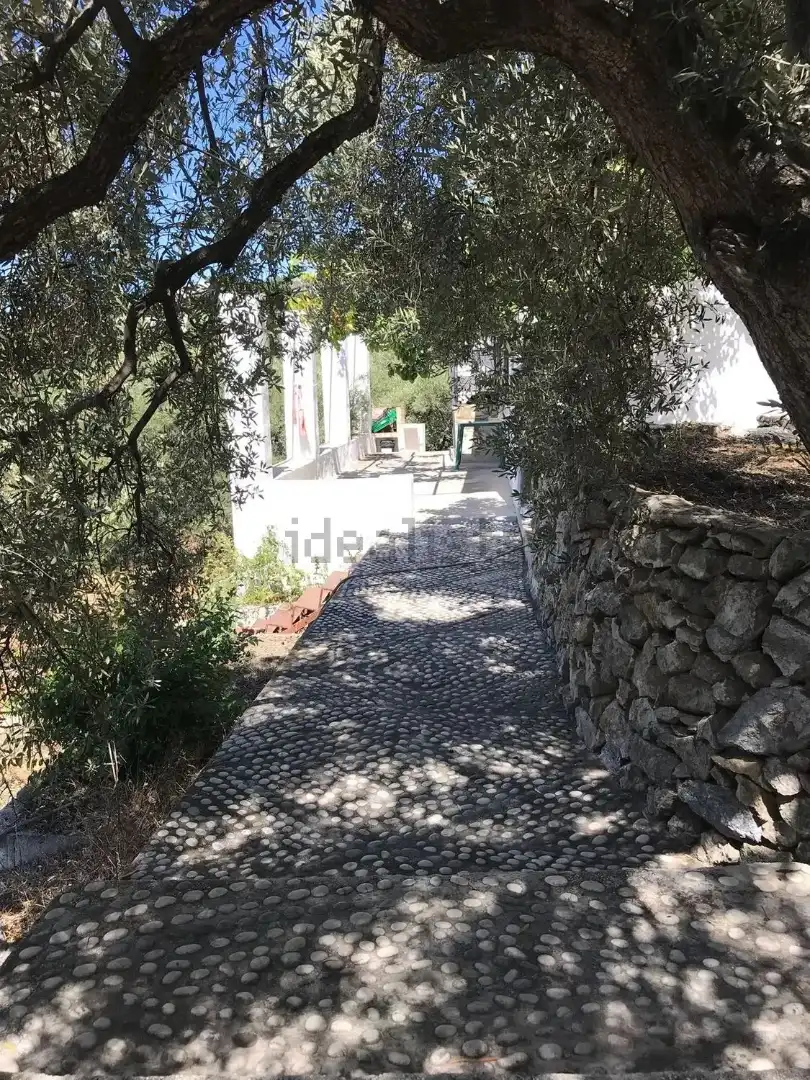 Vista exterior de Finca rústica en venda en Frigiliana amb Terrassa, Traster i Forn