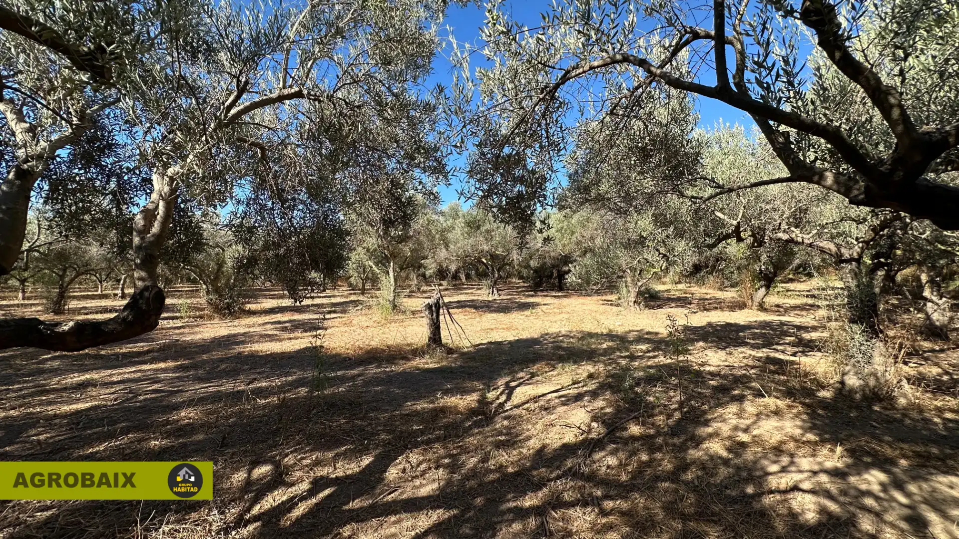Rural land for sale in BV-2002 114, imagen 18