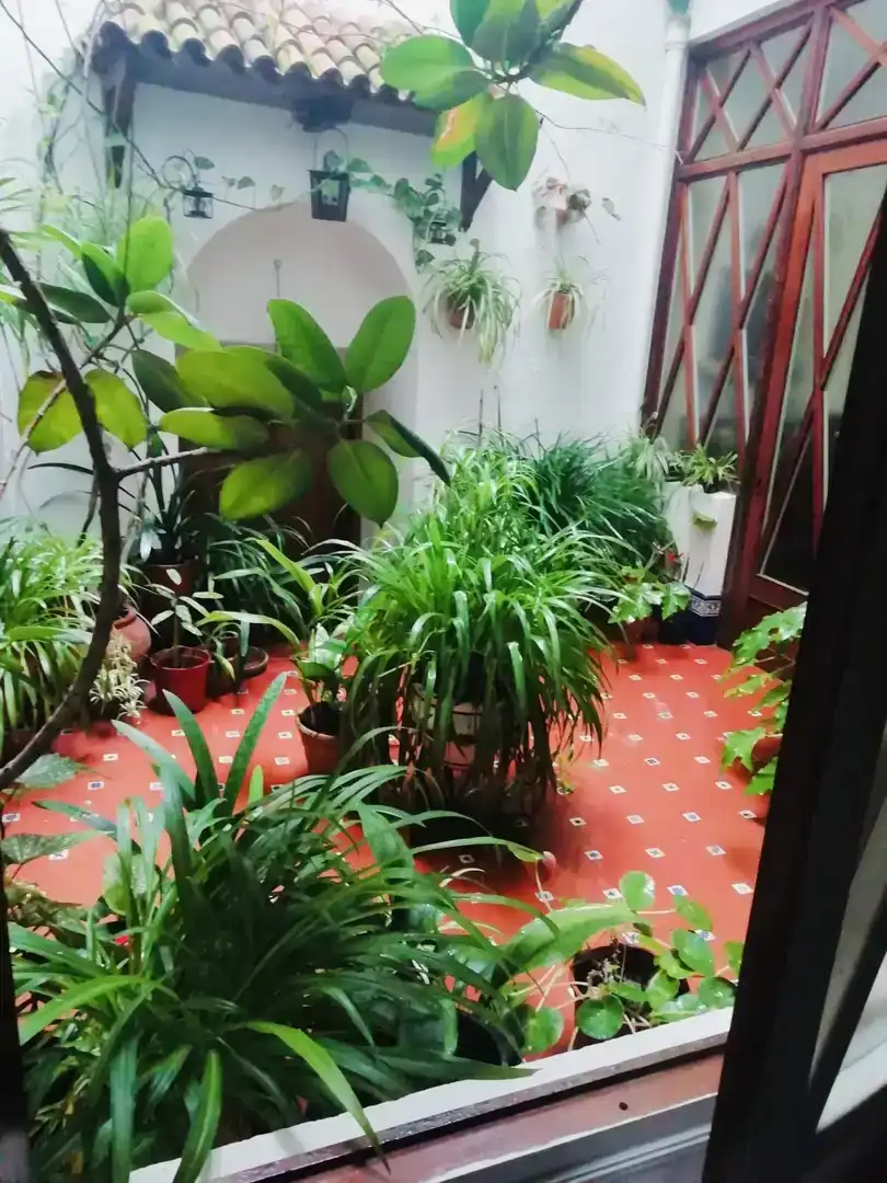 Garden of Ground floor for sale in Enguera  with Balcony