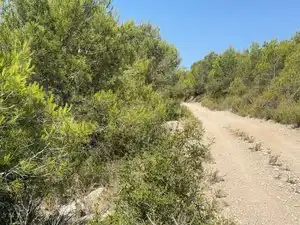 Rustikales Grundstück zum Verkauf in Carrer Quintanes 16, imagen 11
