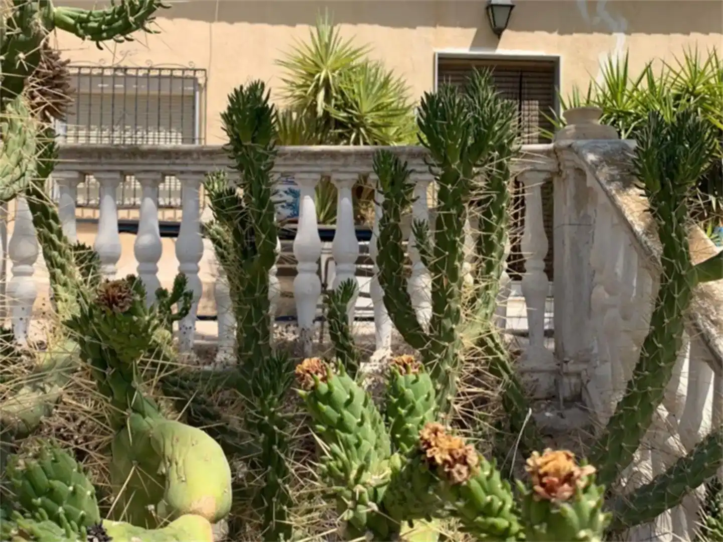 Jardí de Finca rústica en venda en Purchena amb Piscina