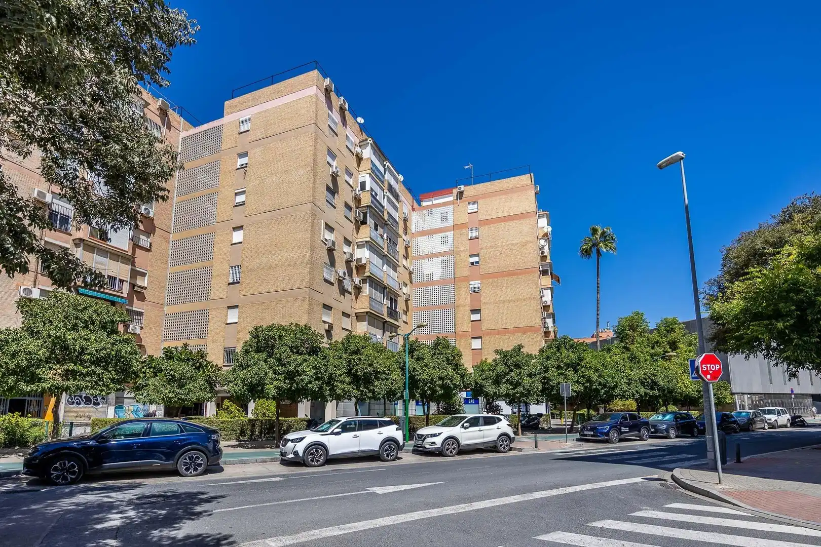 Pis amb ascensor en venda a Avenida SANCHEZ PIZJUAN 25, imagen 28