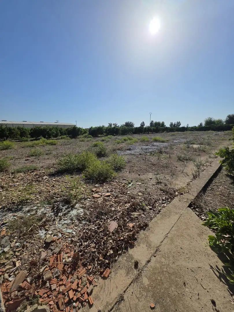 Terrain rustique à vendre à Albalat de la Ribera, imagen 16