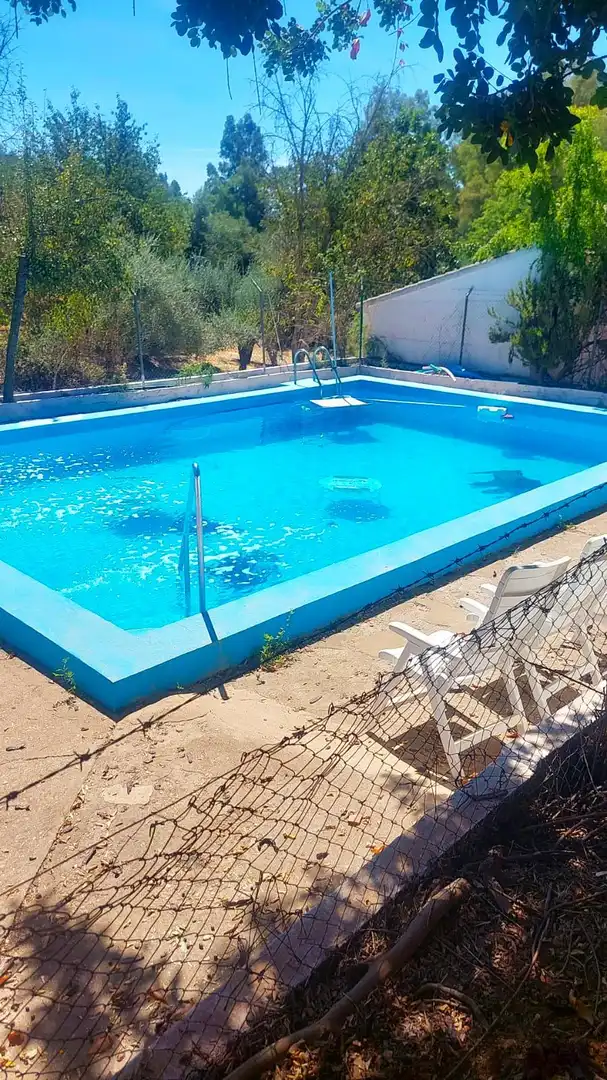Swimming pool of Land for sale in Constantina