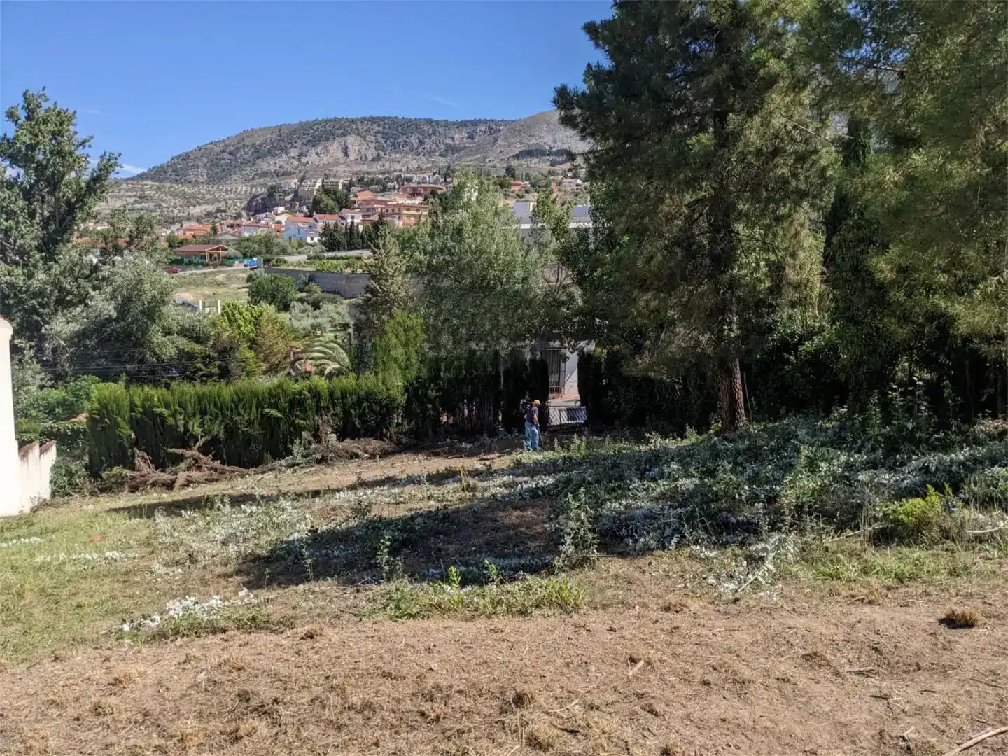 Finca rústica en venta en Alfacar