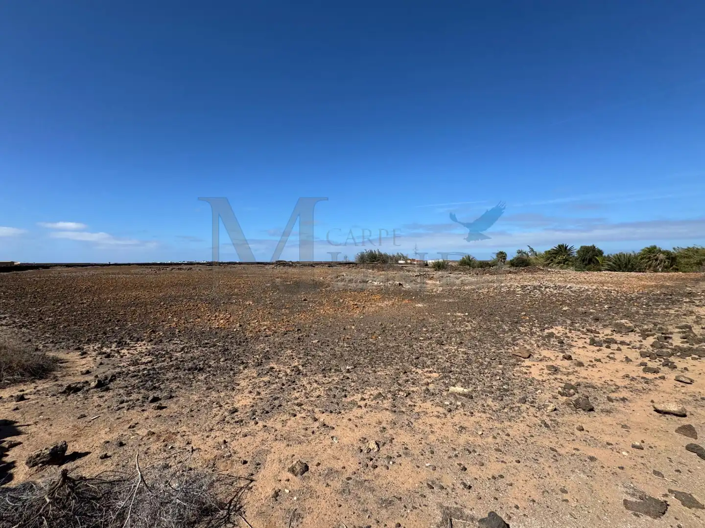 Land for sale in La Oliva
