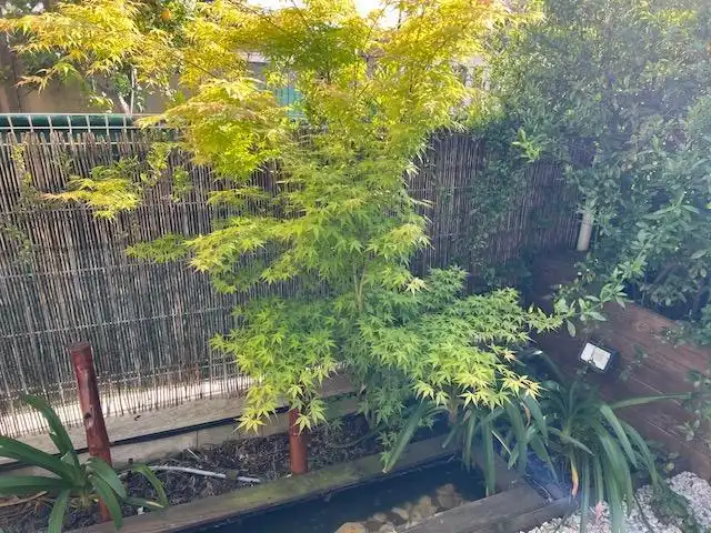 Jardín de Casa adosada en venta en Salomó con Terraza y Balcón