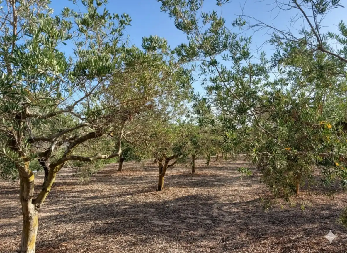 Casa o xalet en venda en Teulada