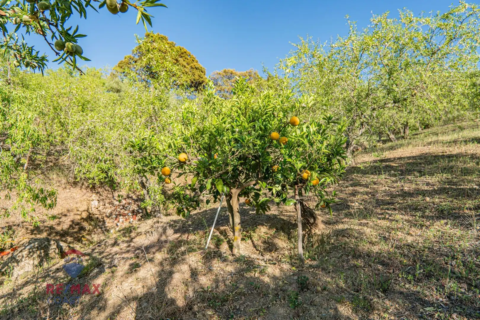 Haus zum Verkauf in piedras blancas poligono 15, imagen 49