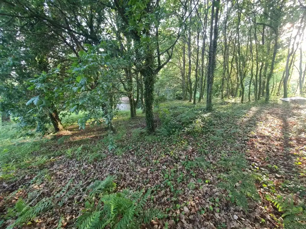 Casa o chalet en venta en Dodro con Jardín privado, Parquet y Trastero
