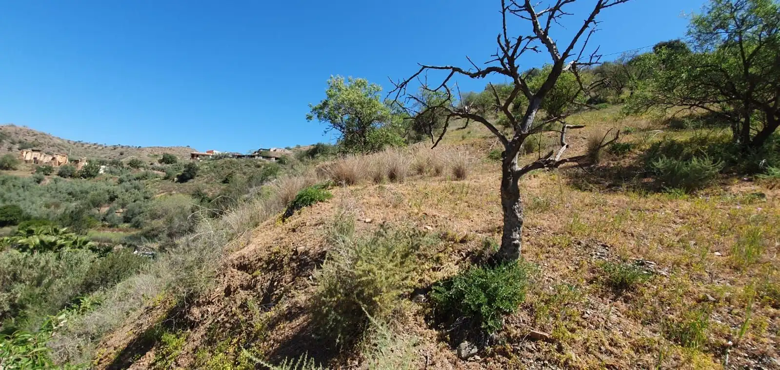 Terrenys i solars en venda a LA POCARIA, imagen 6