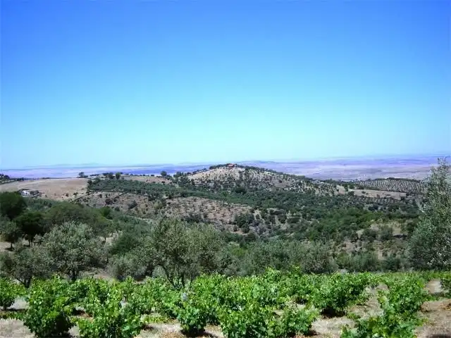 Residential for sale in Madroñera