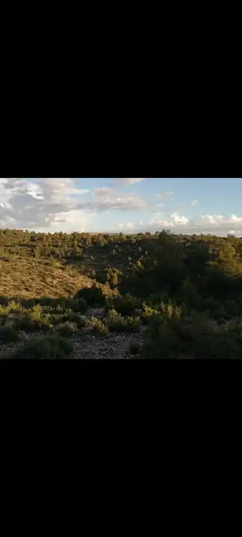 Terreno en venta en Yeste