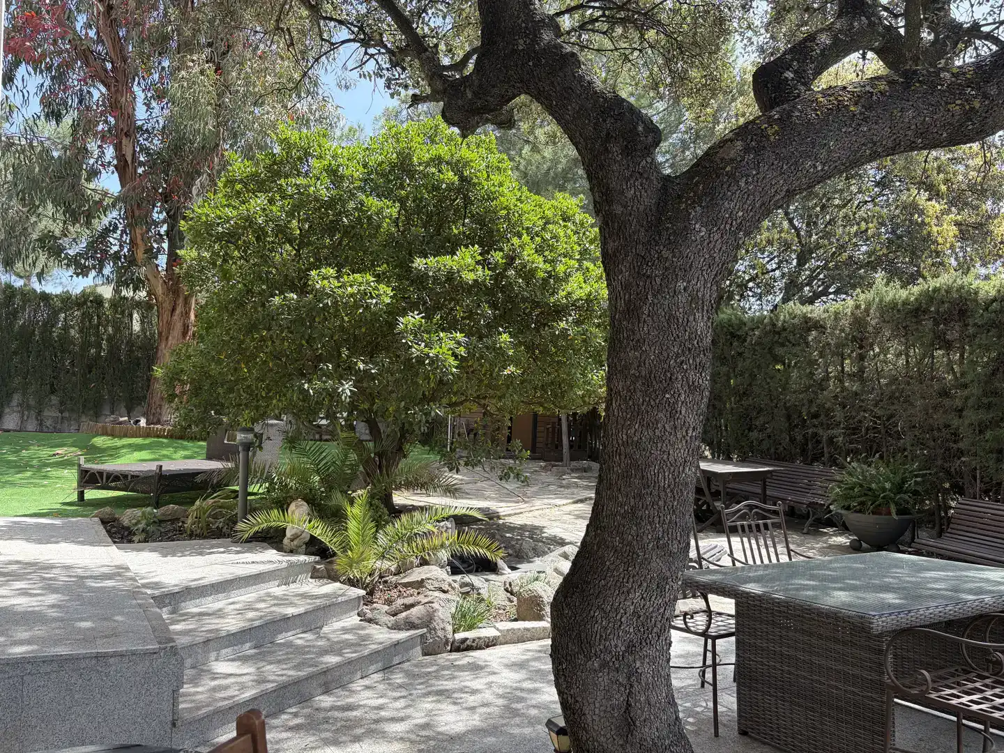 Terrassa de Casa o xalet en venda en Pino Alto - Navarredonda