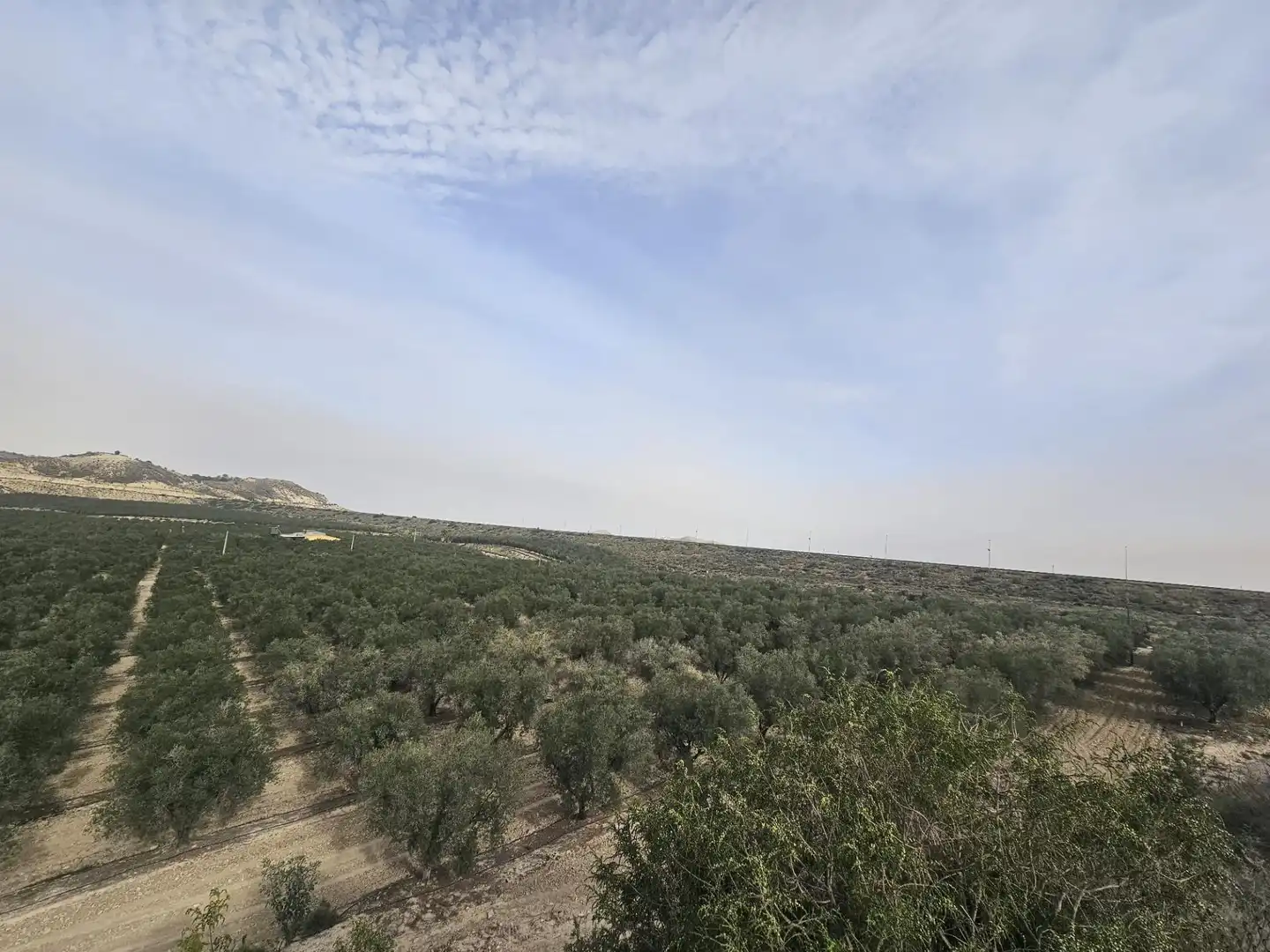 Rural land for sale in Desamparados - Hurchillo - Torremendo, imagen 10