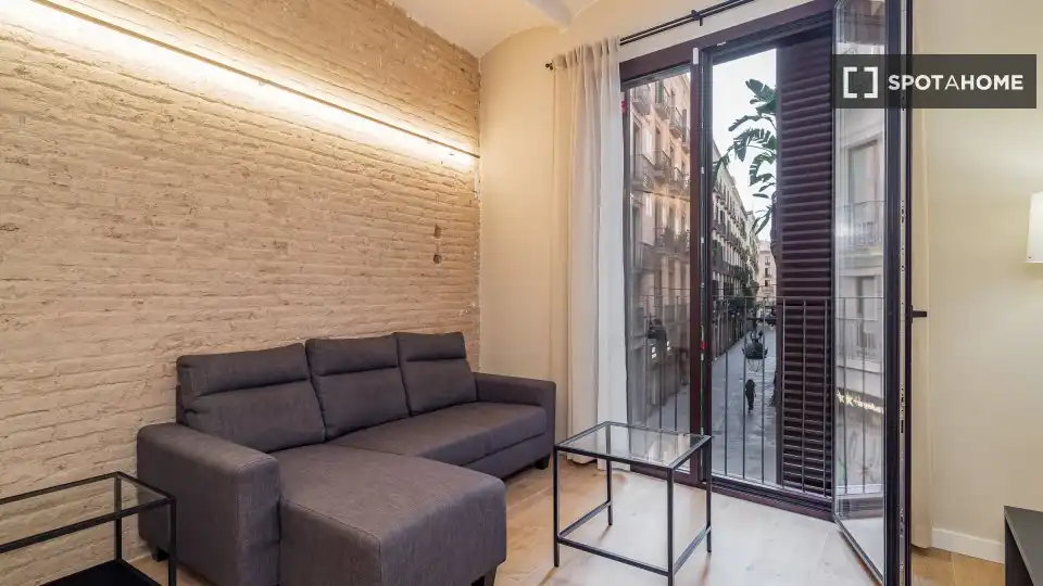 Sala d'estar de Pis de lloguer en Barcelona amb Aire condicionat, Calefacció i Moblat