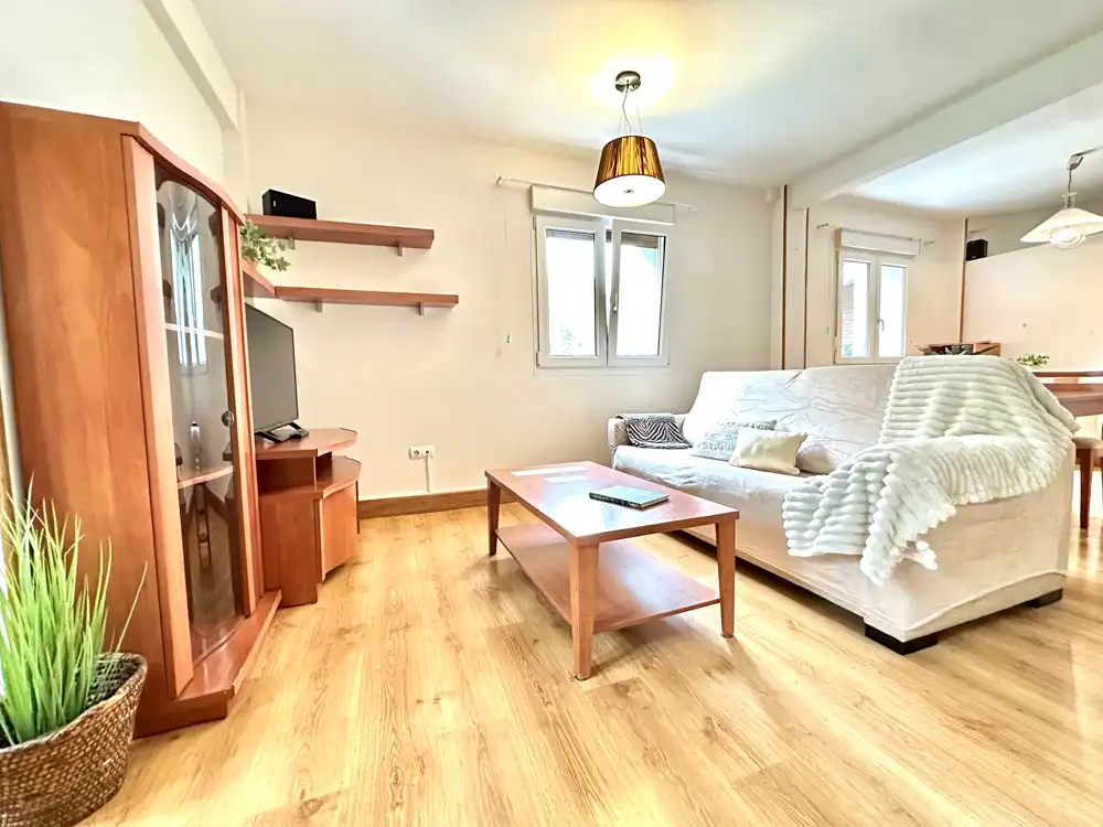 Sala d'estar de Pis en venda en Donostia - San Sebastián  amb Calefacció, Moblat i Balcó