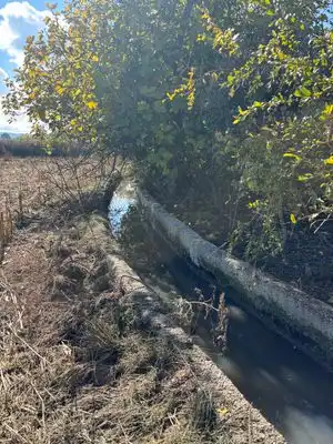 Terreny rústic en venda a Polígono Polígono, imagen 10