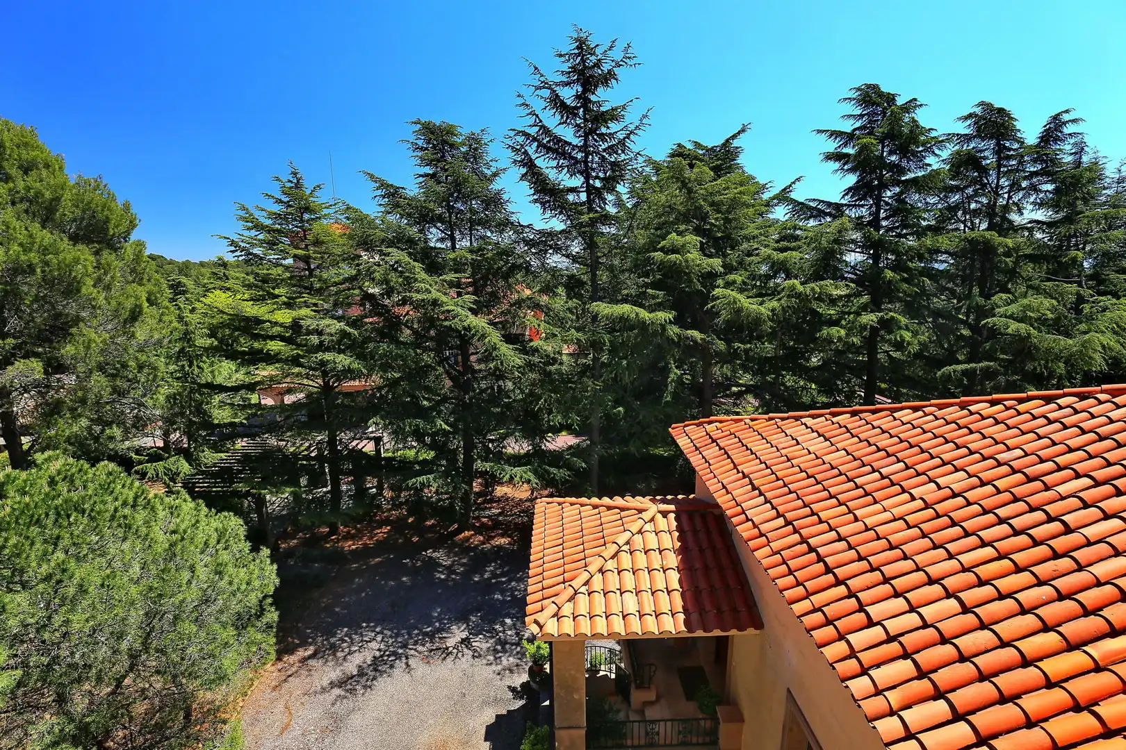 Jardí de Casa o xalet en venda en Terrassa amb Calefacció, Terrassa i Piscina